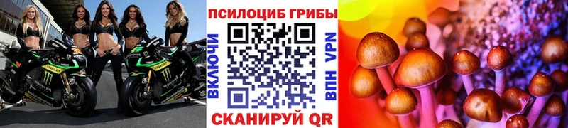 закладка  кракен зеркало  Галлюциногенные грибы Psilocybine cubensis  Арск 